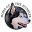 v