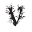 v