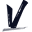 v