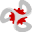 v