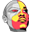 c