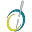 v