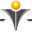 c