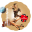 m