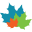 c