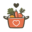 corarecipes.com