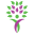 v