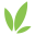 mossandstonegardens.com