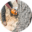 midlandmitreeservice.com