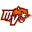 mvshswildcatsathletics.com