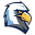 valoreagles.com