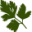 multyvarka.com