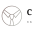 c