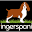 myspringerspaniel.com