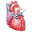 cardiologiadiagnostica.com