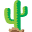 cactuschildrens.com