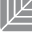 mgcderma.nl