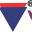 v