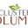 clustercolumbia.com