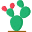 cactus-concept.fr