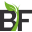 Valore BF favicon
