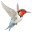 v