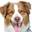 Coastal Pet Products