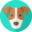 mysocialpetwork.com