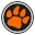 mtcsathletics.com