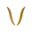 viptodaymagazine.com