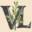v