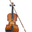 vegterviolins.com