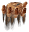 mellow-waterfall-cave.site