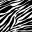 vivozebra.ro