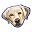 mein-blindenfuehrhund.de