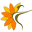 c