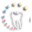c