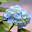 myfamilythyme.com