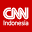 cnnindonesia.com