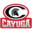 cayugaspartans.com