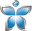 Chavez Web Design favicon