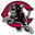 chaffeypanthers.com