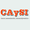 caysi.com.ar