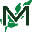 m