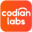 codianlabs.com