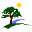 c