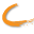 Cadiz Street favicon