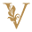 v