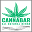 cannabis-stores.de