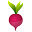 veggie-quest.com